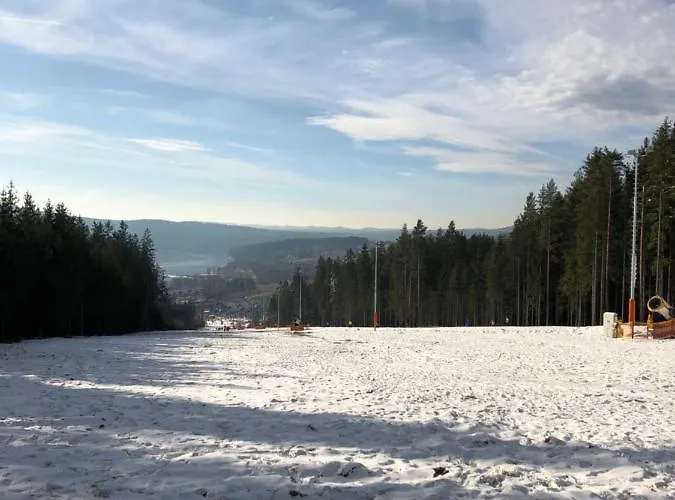 L&b View Modern Апартаменты Липно-над-Влтавой
