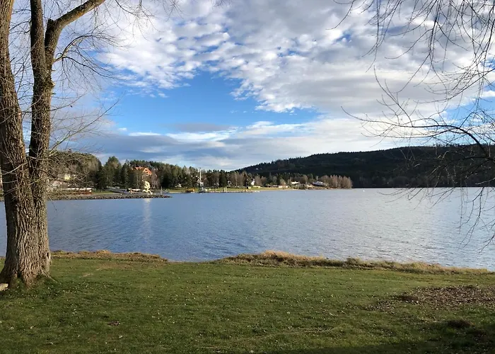L&b View Modern Lejlighed Lipno nad Vltavou